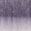 06 퍼플체크